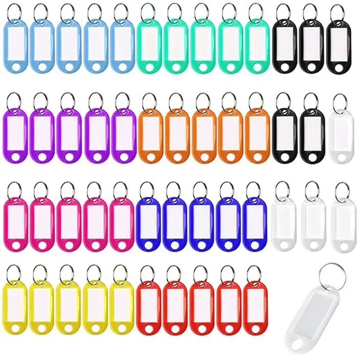 100 portachiavi in plastica scrivibile, con anelli portachiavi, per chiavi, valigie, animali domestici (10 colori)