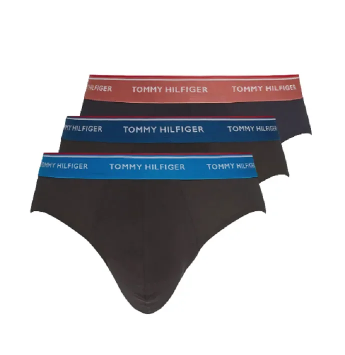 3 Slip Uomo Tommy Hilfiger Art. UM0UM03119