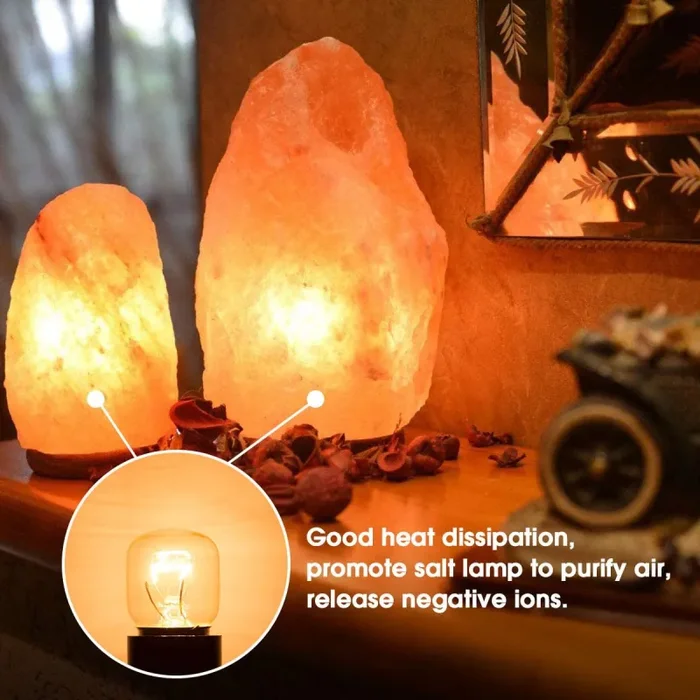 4X 25W E14 Lampadina Da Forno, Small Edison Screw Base Forno lampadine,Lampadineluce al Tungsteno, 2700K Luce Bianca Calda, Non dimmerabile, Per Luce Notturna o Per Forno/Forno a Microonde - immagine 3