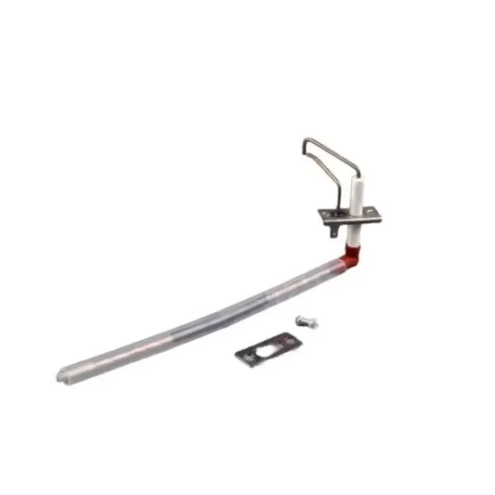 65116262-01 Elettrodo Accensione