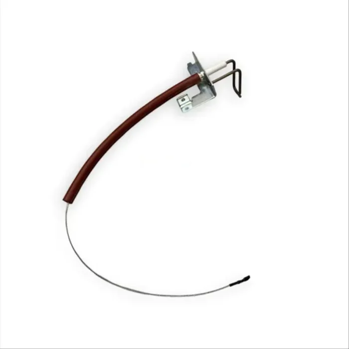 7718584 Elettrodo Baxi Online