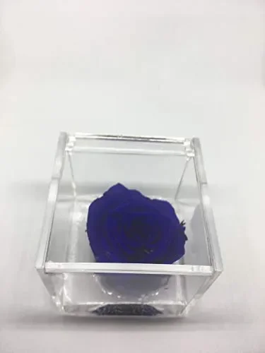 AA 1051 Cubo Rosa Stabilizzata Blu 5cm 5x5x5 profumata, Il con una Vera…