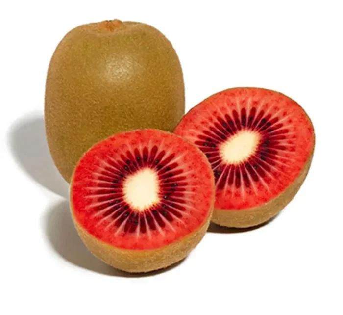 Actinidia arguta (RED KIWI)