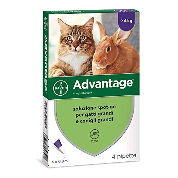 Advantage Soluzione Spot-On Gatti/Con. 4 Pipette, 0.8 ml