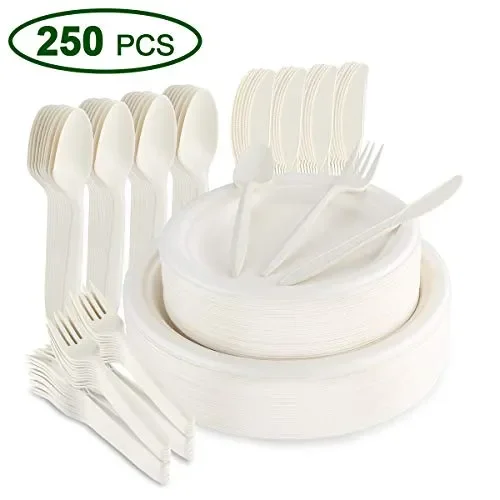 Aitsite 250 Pezzi Piatti monouso di carta Set Stoviglie usa e Bianco
