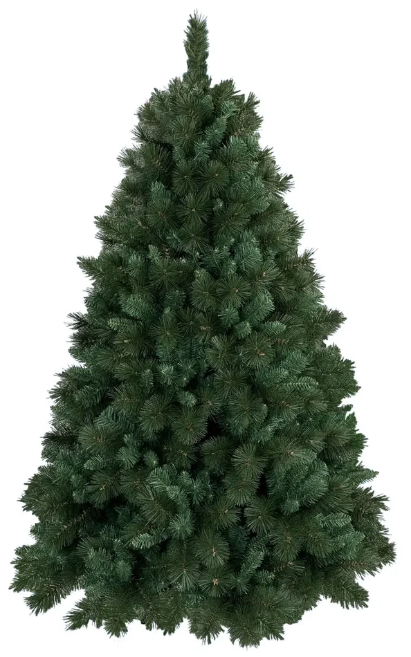 Albero Di Natale Boston