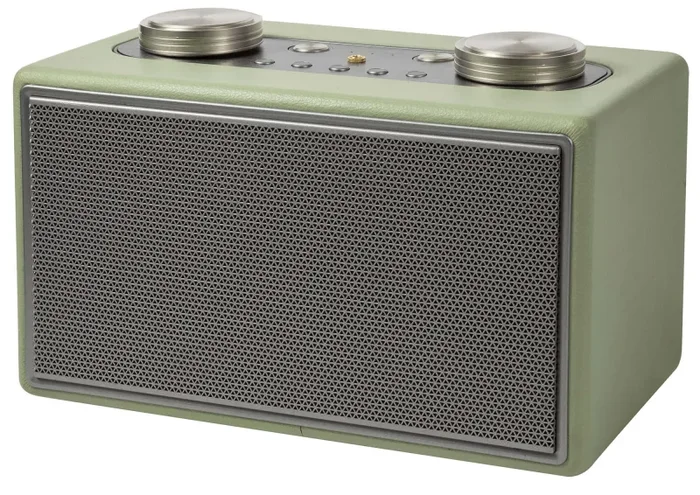Altoparlante Speaker 40W Wireless con Radio in Similpelle Kooper Twist Verde