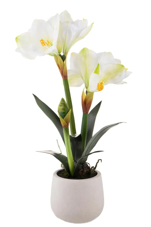 Amaryllis Artificiale con Vaso Altezza 64 cm Bianco