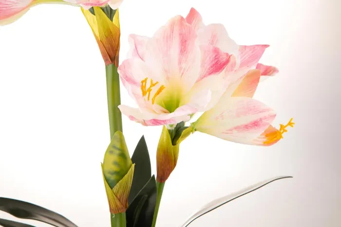 Amaryllis Artificiale con Vaso Altezza 64 cm Rosa Vendita calda online - immagine 3