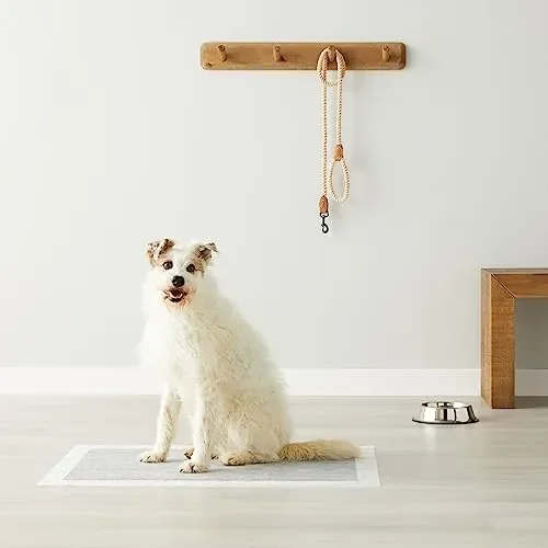 Amazon Basics Tappetini al carbone con controllo degli odori per l’addestramento di cani e cuccioli,prova di perdite con superficie ad asciugatura rapida,dimensione XL, confezione da 50, grigio - immagine 2
