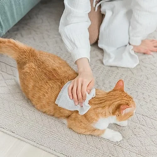 AMORE MIO | 110 Salviette al Talco Maxi Formato Extra Large per Il Manto di Cani, Gatti e Animali Domestici, Disinfettanti e Igienizzanti, 30×20 cm – 1 Confezione da 110 Salviettine - immagine 3