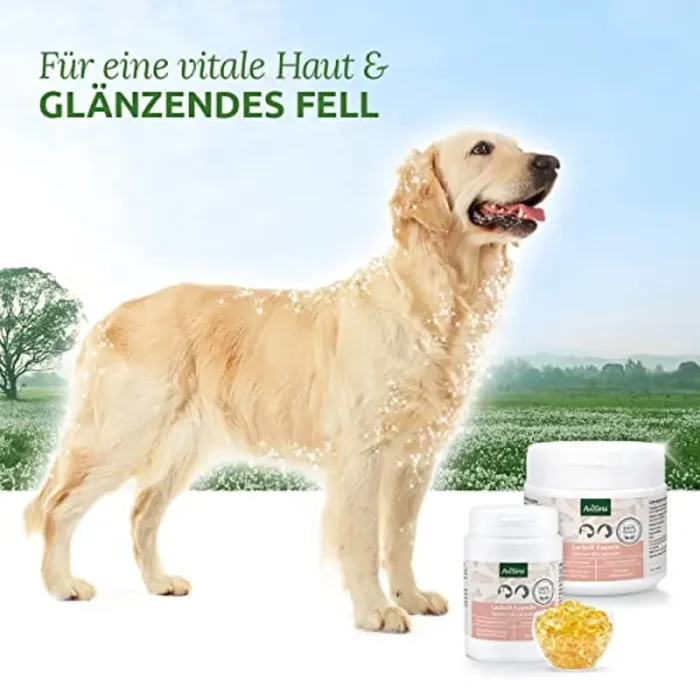 AniForte Omega-3 Capsule di Olio di Salmone per Cani e Gatti 200 Capsule – Natura Pura, ottimizza Il metabolismo, prezioso per la Formazione delle Ossa, la costituzione e Il Mantello Lucido - immagine 3