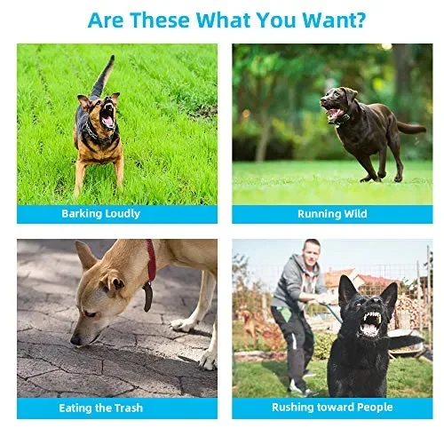 Antiabbaio Ultrasuonia per Cani, VINSIC Dispositivo Ultrasuoni Anti Abbaio,… - immagine 2