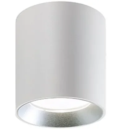 Applique da Esterno a LED 40W 4000K Sovil Bianco