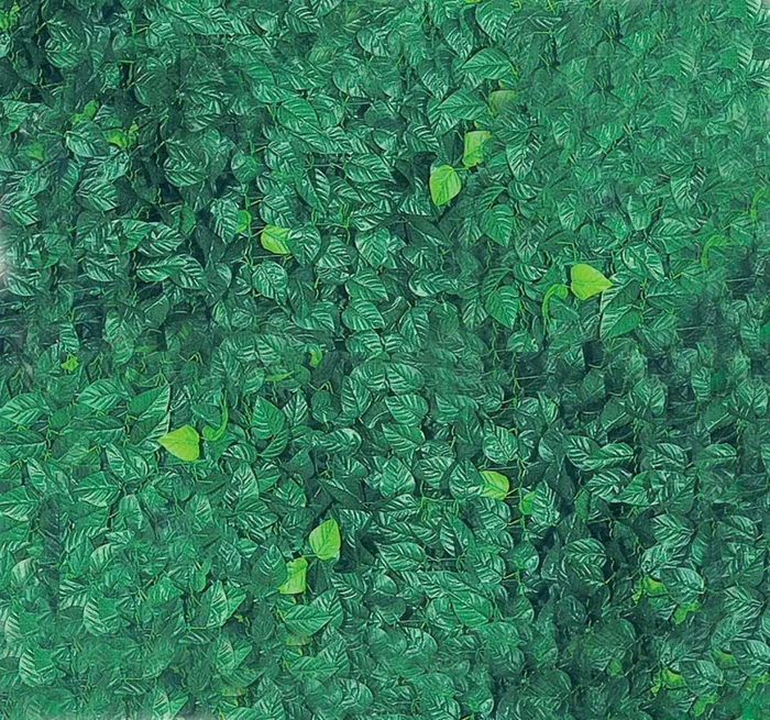 Arella Siepe Sintetica Artificiale 300×150 cm in Polipropilene Ombreggiante Bauer Foglie di Lauro - immagine 2