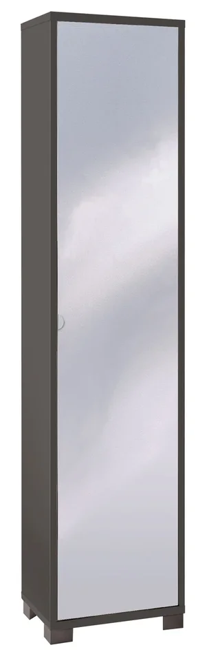 Armadio 1 Anta con Specchio 43x190x29 cm Titanio Online