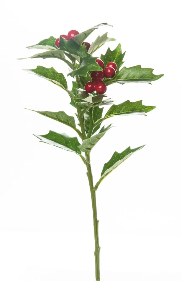ARPIMEX Agrifoglio Natale Medio Verde Rosso Saldi