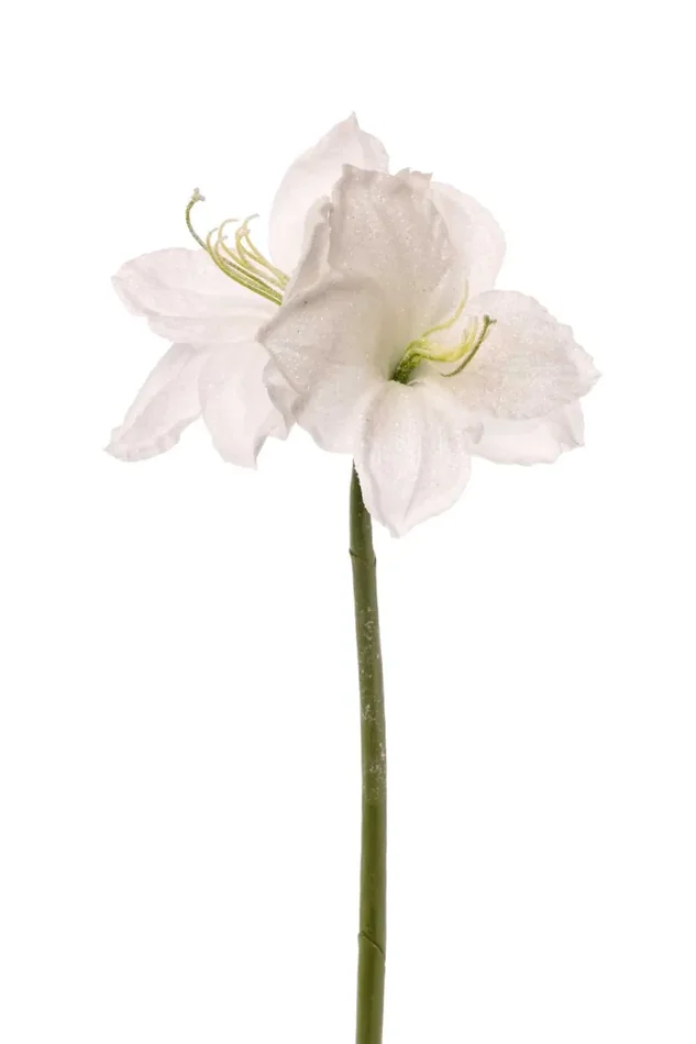 ARPIMEX Amarillys H 65 Cm Bianco Online ora