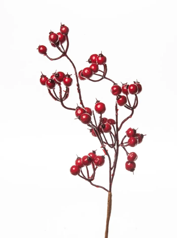 ARPIMEX Bag Natale 12 Rami Decorativi con Bacche Rosse 35 Cm