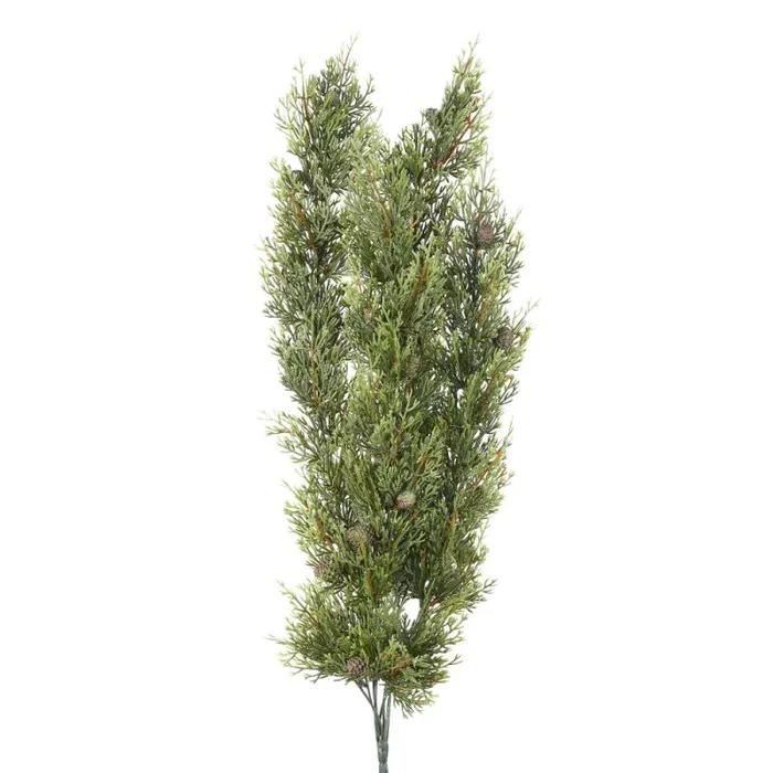 ARPIMEX Cascante Natale Thuia 70 Cm Verde Sconti