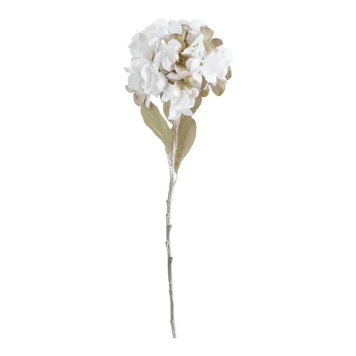 ARPIMEX Fiore di Ortensia H 70 Cm Cream