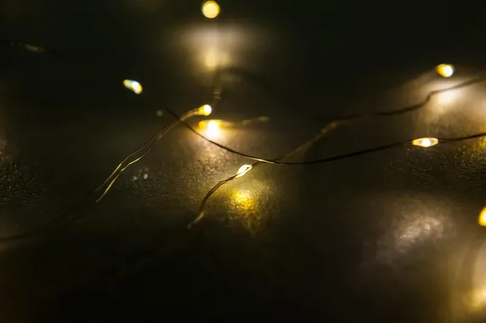 ARPIMEX MicroLed 40 Luci Natale Indoor a Batteria Luce Calda