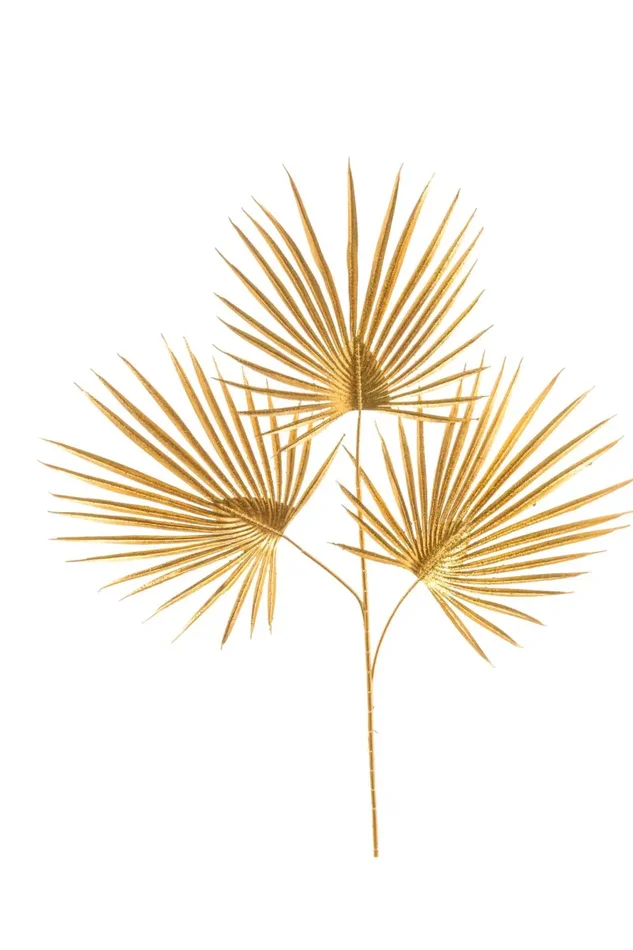 ARPIMEX Palma Camarox con 3 Foglie 72 Cm Gold
