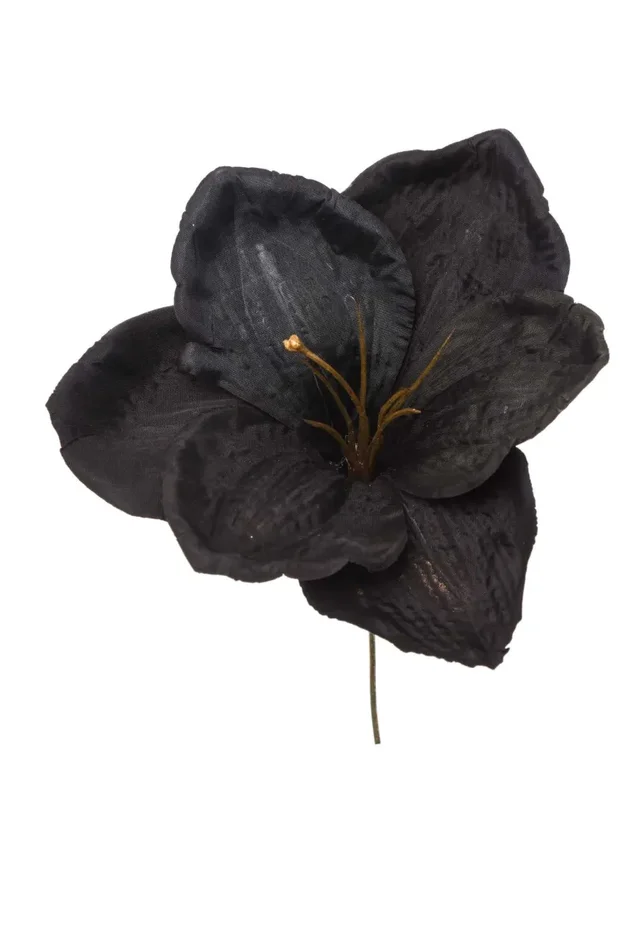 ARPIMEX Pick Amarillys D 16 Cm H 18 Cm Nero