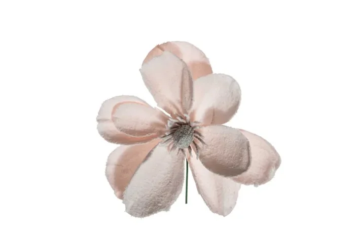 ARPIMEX Pick Natale Magnolia Innevata 24 Cm Cipria Online ora