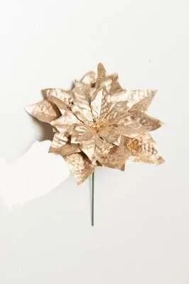 ARPIMEX Pick Natale Poinsettia H 19 CM Gold