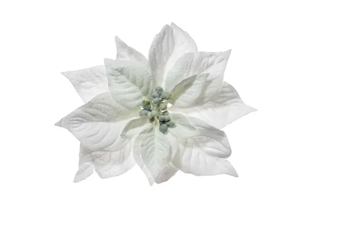 ARPIMEX Pick Natale Stella di Natale Poinsettia Innevata 23 Cm Bianca Vendita online
