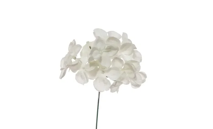 ARPIMEX Pick Ortensia Innevata 19 Cm Bianca