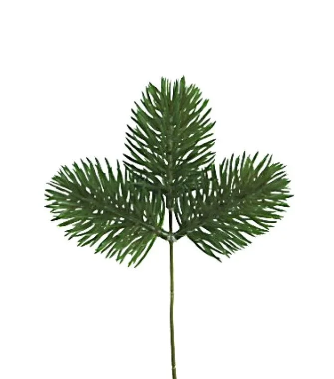 ARPIMEX Rametto Natale Pino 20 Cm Verde