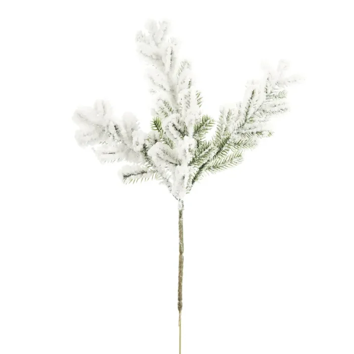ARPIMEX Rametto Natale Pino Winter Majesty 28 Cm Innevato Bianco