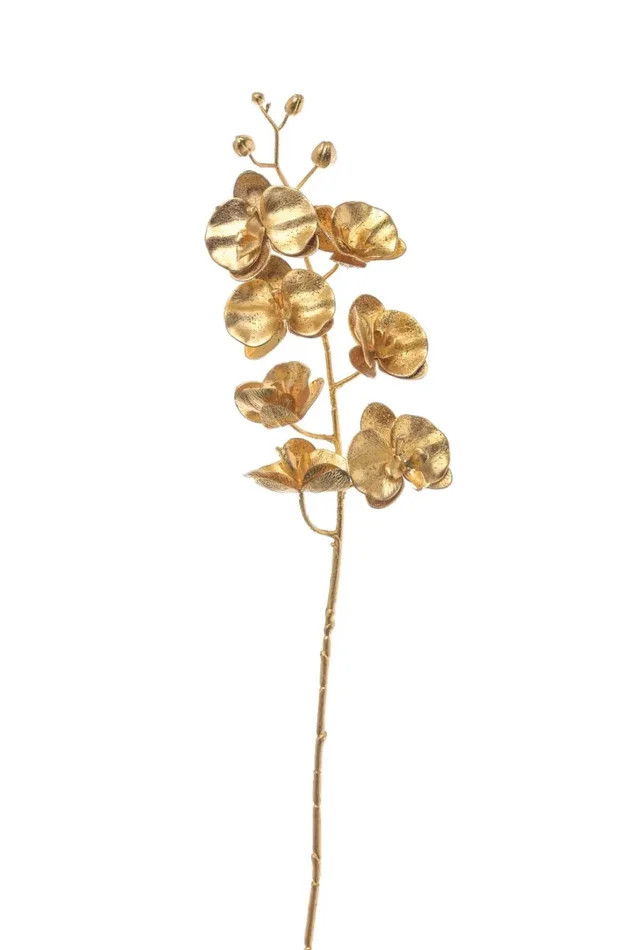ARPIMEX Ramo Natale Orchidea Phalenopsis 76 Cm Gold