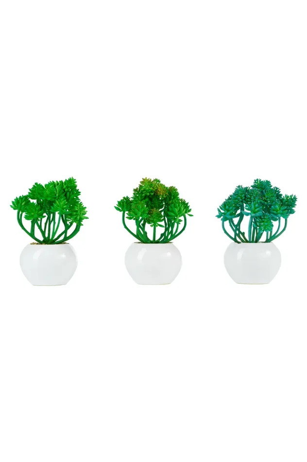 ARPIMEX Sedum Burrito in Vaso di Ceramica D 16 Cm 1 Pz Saldi