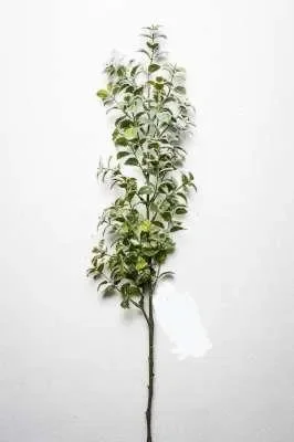 ARPIMEX Tralcio Tea Leaf Innevato