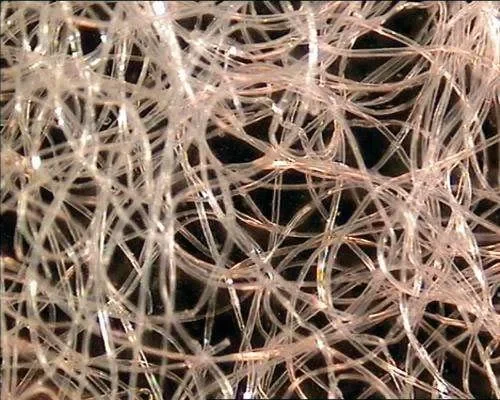 Askoll 280192 Ovatta Sintetica per filtri, 500 ml - immagine 2