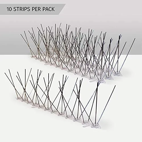 ASPECTEK Kit spuntoni per Uccelli in Acciaio Stainless Steel Without Glue - immagine 3