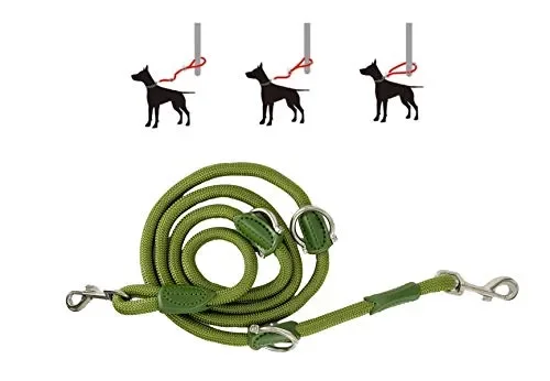 AVANZONA Guinzaglio per Cani in Nylon Resistente Multiuso Diversi Green - immagine 3