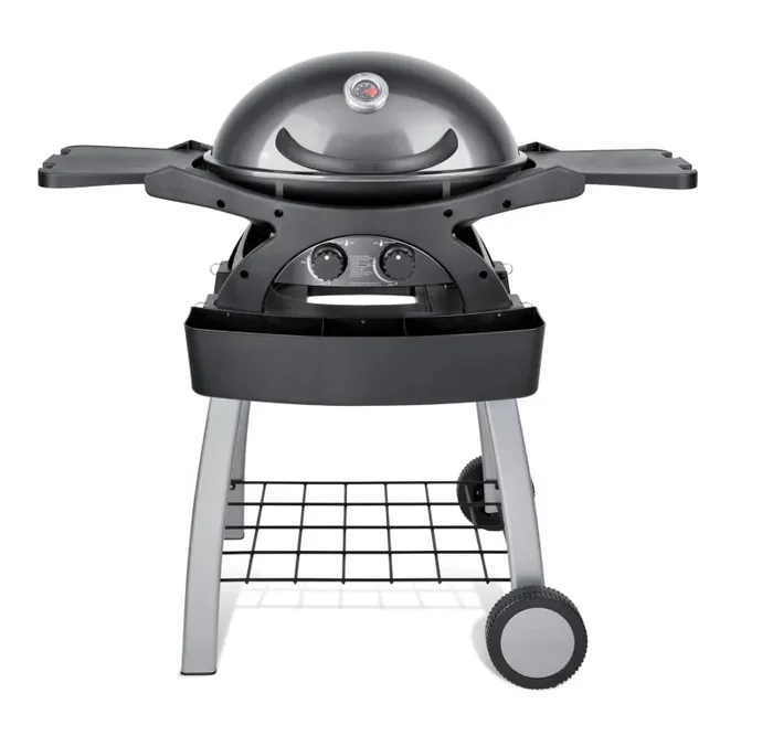 Barbecue a Gas GPL 2 Fuochi 5,2kW 2 Ripiani con Carrello Twin Grill Grigio Fornitura