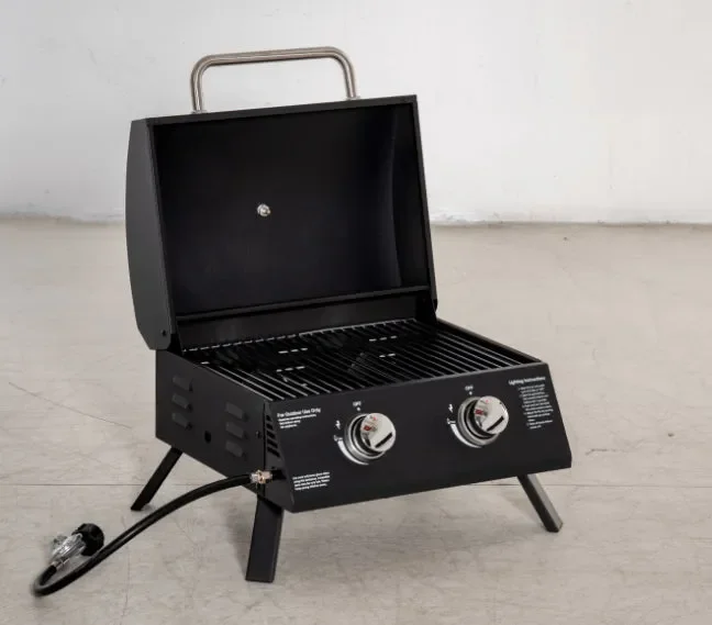 Barbecue a Gas GPL 2 Fuochi Portatile 55×46,5×41 cm in Acciaio Nero