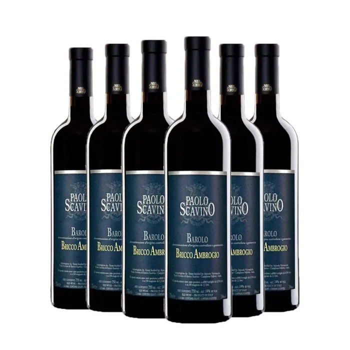 Barolo Bricco Ambrogio 2019 – Paolo Scavino Kit 6 Bottiglie