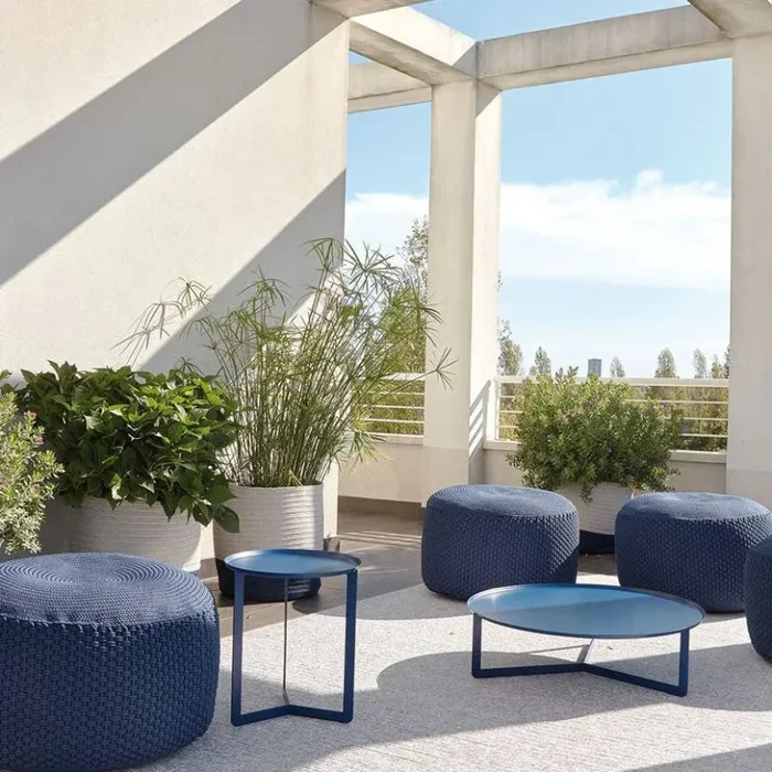 Berenice Small - immagine 2