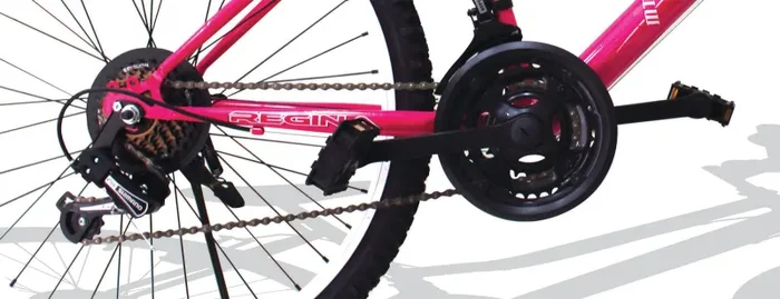 Bicicletta Mountain Bike MTB Ragazza 20″ 21V Kidfun Jasmine Fucsia - immagine 2