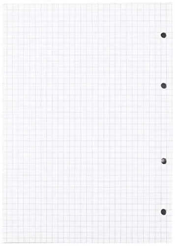 Blasetti 2329 – 40 Ricambi A5 Rinforzati con banda trasparente, Quadretti,… - immagine 2