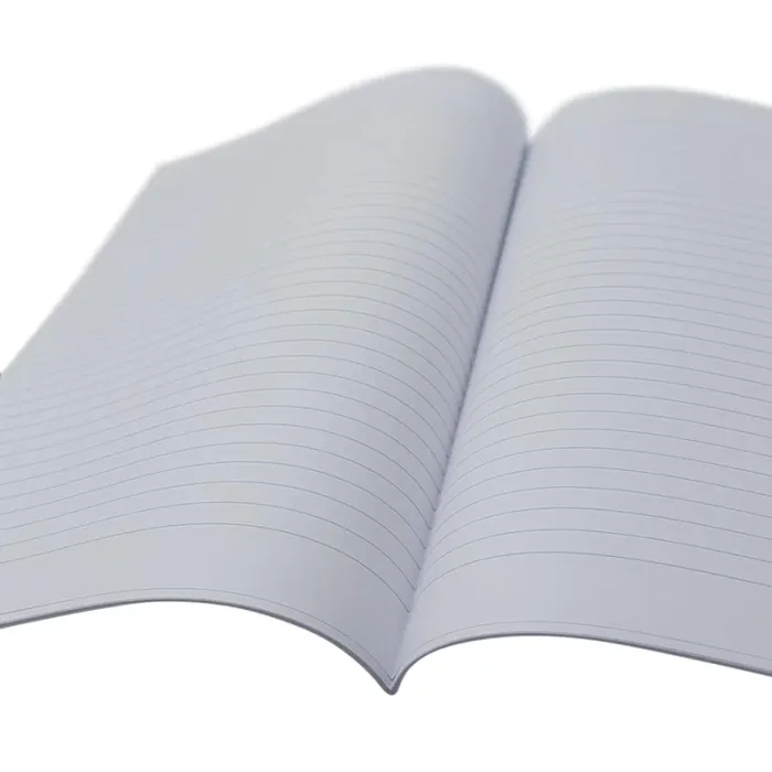 Blasetti – confezione da 20 fogli protocollo – rigo 1R - immagine 3