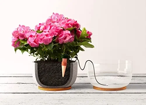 Blumat, Set per irrigazione, 3 pz. Sconti - immagine 3