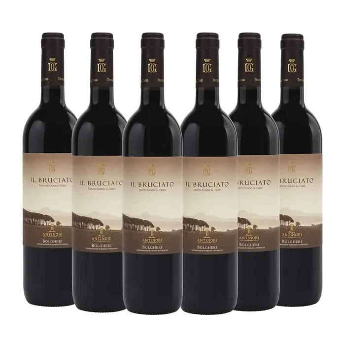 Bolgheri DOC Rosso ‘Il Bruciato’ 2022 Kit 6 Bottiglie – Tenuta Guado al Tasso