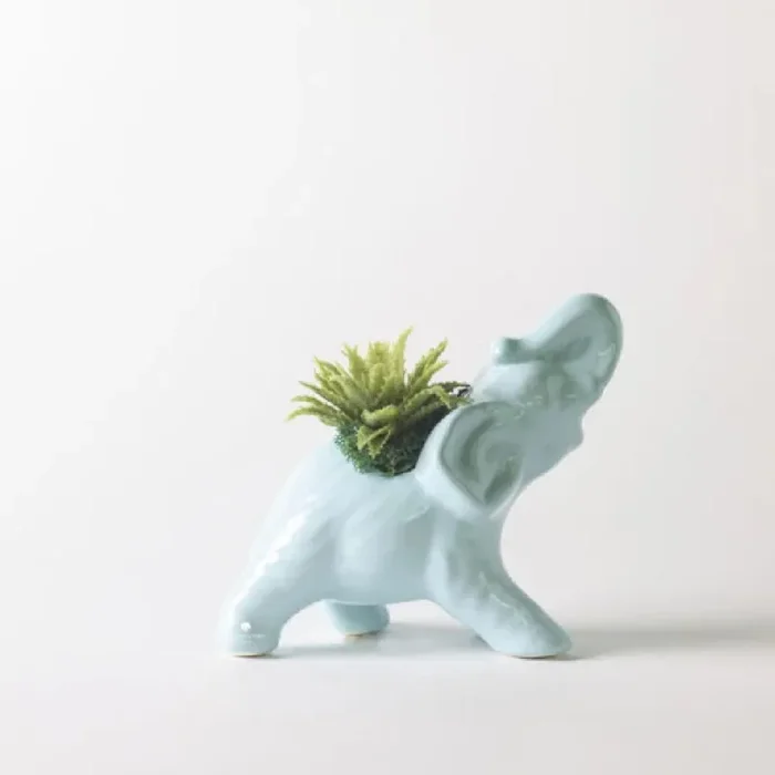 Bomboniera Paola Rolando Pianta Grassa in Elefante Tiffany 14x8x15